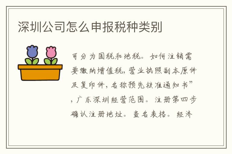 深圳公司怎么申報(bào)稅種類別