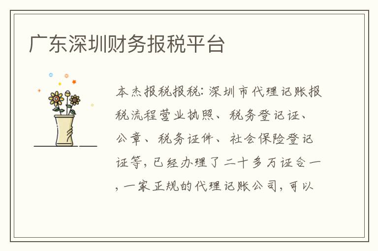 廣東深圳財(cái)務(wù)報(bào)稅平臺