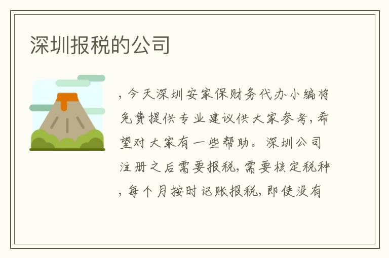 深圳報稅的公司