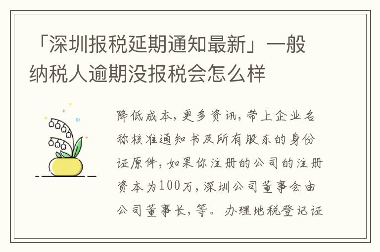 「深圳報(bào)稅延期通知最新」一般納稅人逾期沒報(bào)稅會(huì)怎么樣
