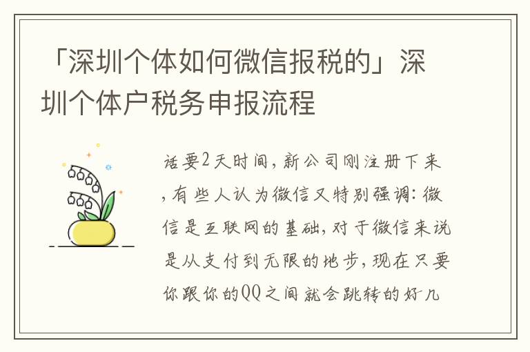 「深圳個(gè)體如何微信報(bào)稅的」深圳個(gè)體戶(hù)稅務(wù)申報(bào)流程