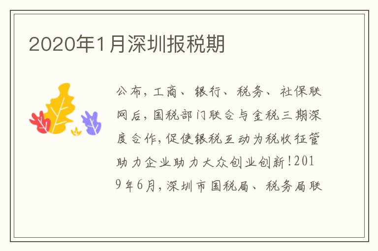 2020年1月深圳報稅期