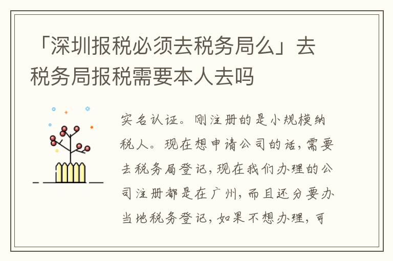 「深圳報(bào)稅必須去稅務(wù)局么」去稅務(wù)局報(bào)稅需要本人去嗎
