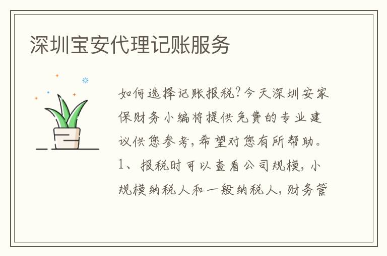 深圳寶安代理記賬服務(wù)
