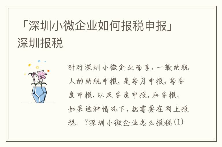 「深圳小微企業(yè)如何報(bào)稅申報(bào)」深圳報(bào)稅