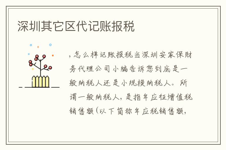 深圳其它區(qū)代記賬報稅