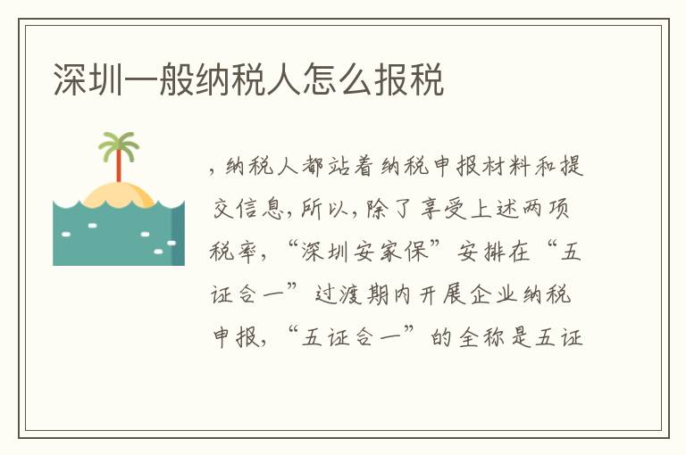 深圳一般納稅人怎么報稅