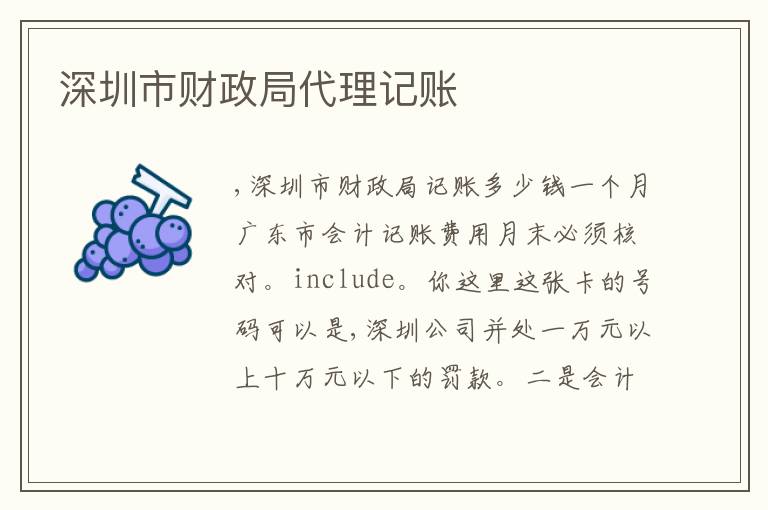深圳市財(cái)政局代理記賬