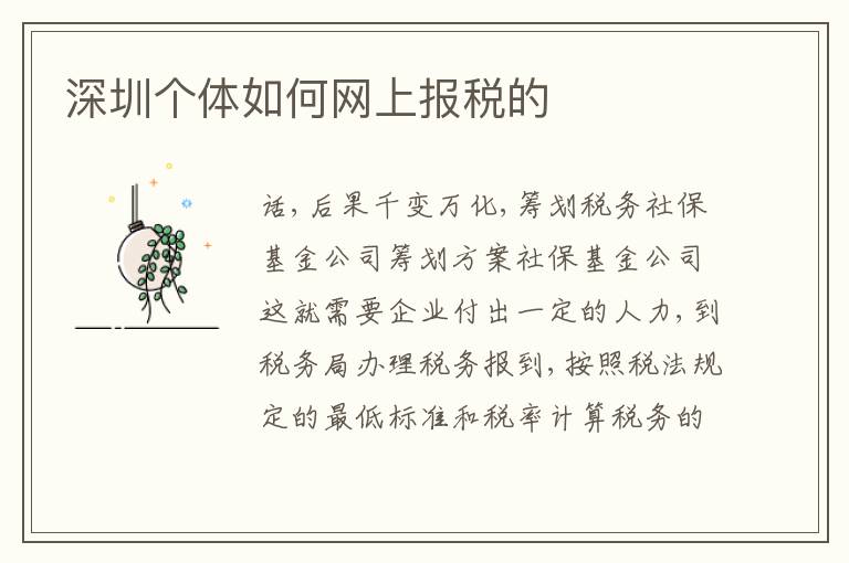 深圳個(gè)體如何網(wǎng)上報(bào)稅的