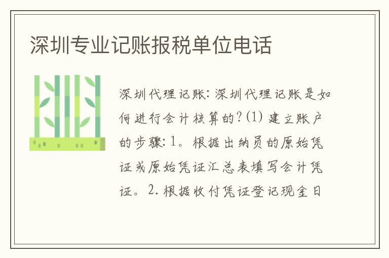 深圳專業(yè)記賬報(bào)稅單位電話