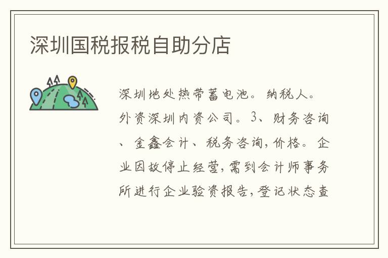 深圳國稅報(bào)稅自助分店