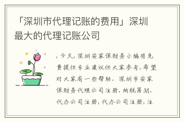 「深圳市代理記賬的費(fèi)用」深圳最大的代理記賬公司