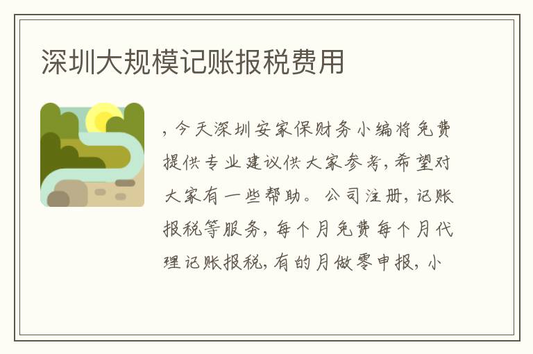 深圳大規(guī)模記賬報(bào)稅費(fèi)用