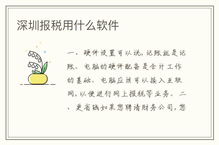 深圳報(bào)稅用什么軟件