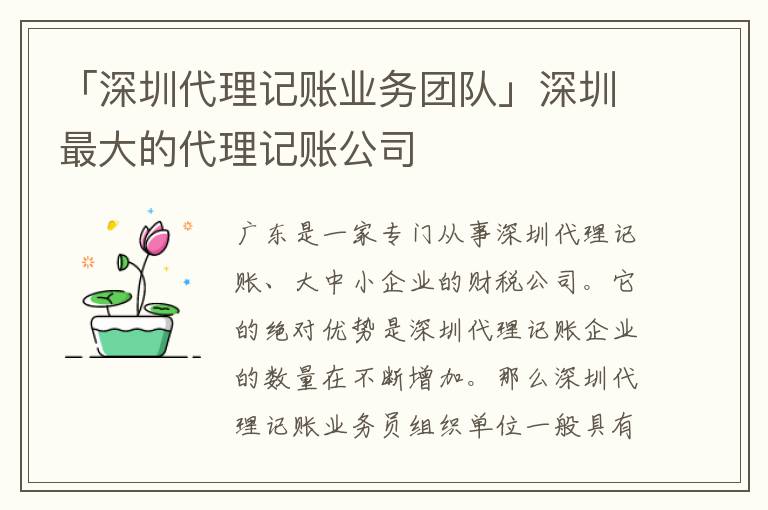 「深圳代理記賬業(yè)務(wù)團隊」深圳最大的代理記賬公司