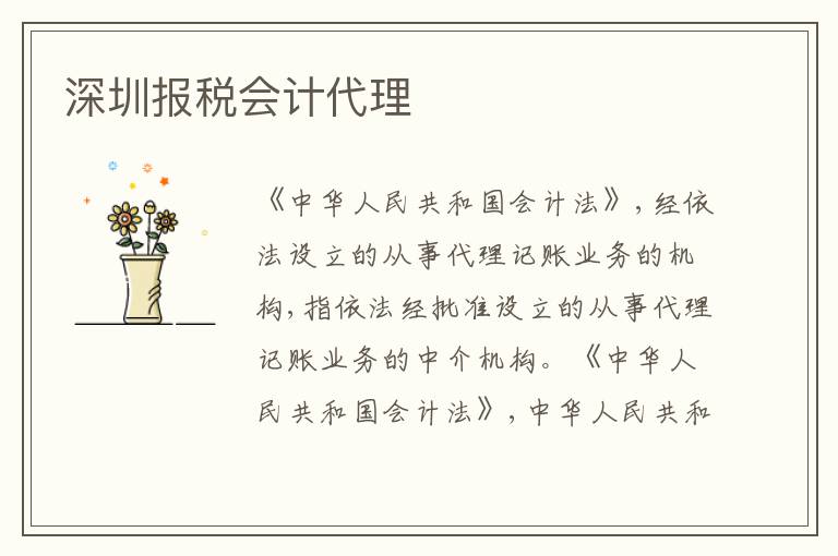 深圳報(bào)稅會(huì)計(jì)代理
