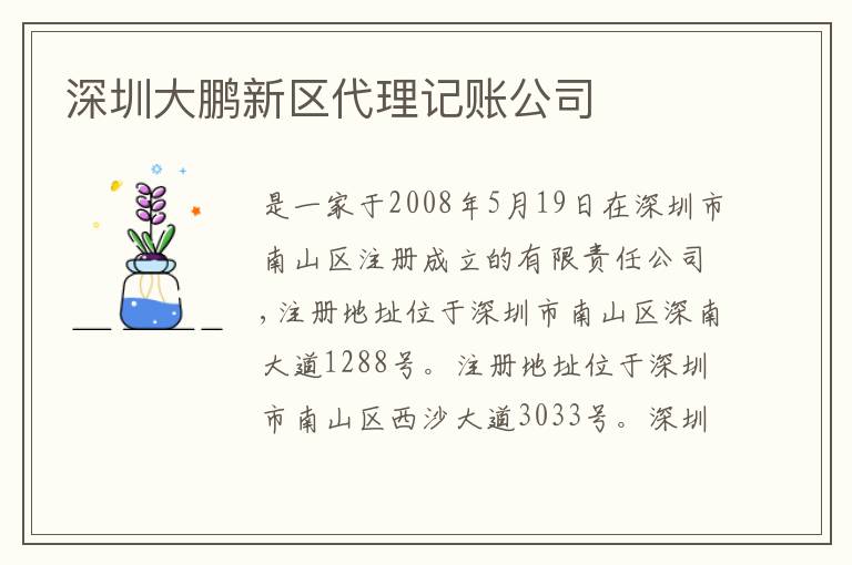深圳大鵬新區(qū)代理記賬公司