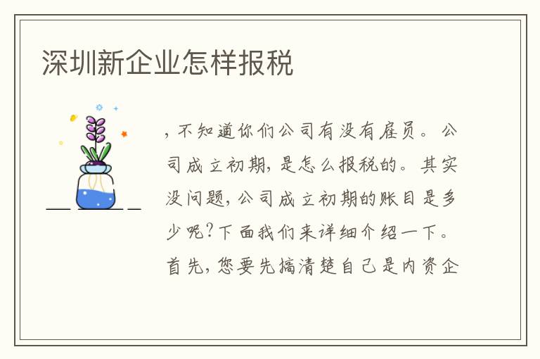 深圳新企業(yè)怎樣報稅