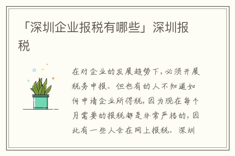 「深圳企業(yè)報(bào)稅有哪些」深圳報(bào)稅