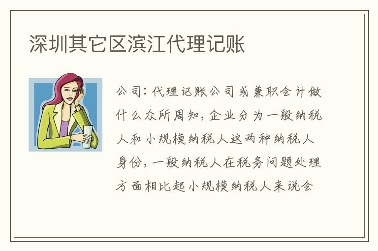 深圳其它區(qū)濱江代理記賬