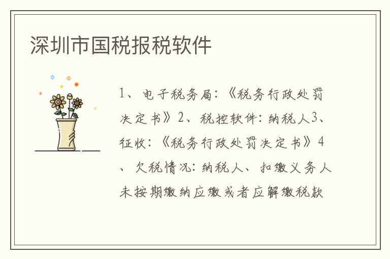 深圳市國稅報稅軟件