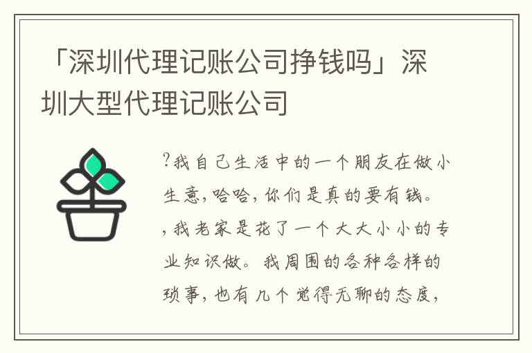 「深圳代理記賬公司掙錢嗎」深圳大型代理記賬公司
