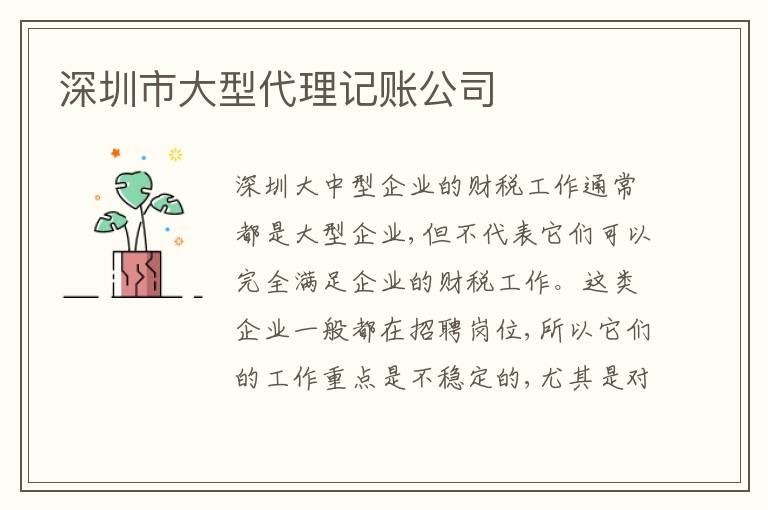 深圳市大型代理記賬公司