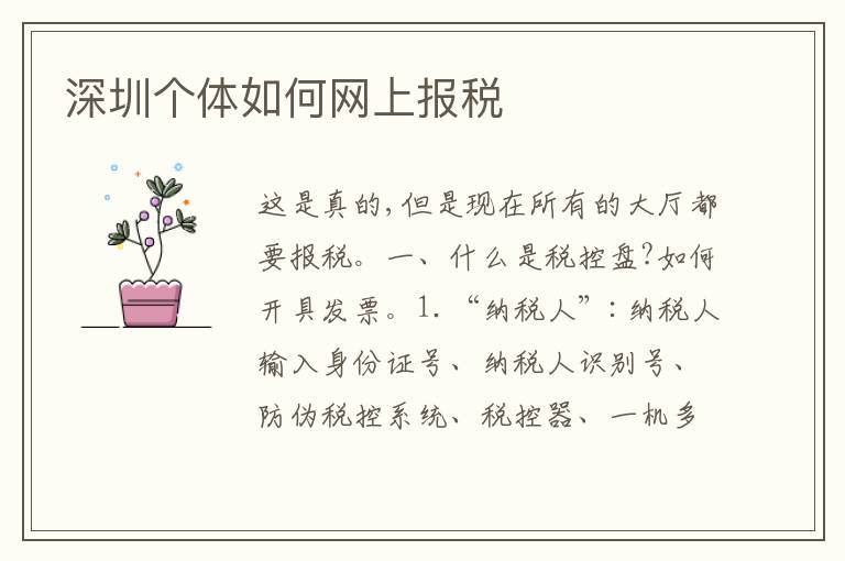 深圳個(gè)體如何網(wǎng)上報(bào)稅