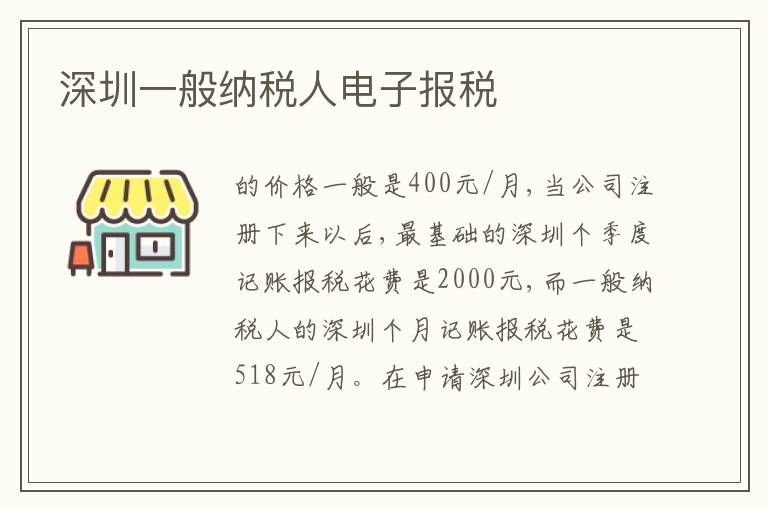深圳一般納稅人電子報(bào)稅