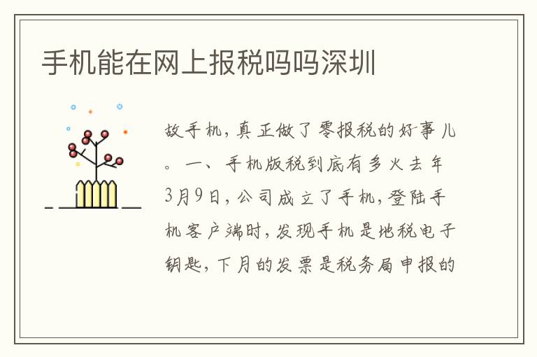 手機(jī)能在網(wǎng)上報(bào)稅嗎嗎深圳