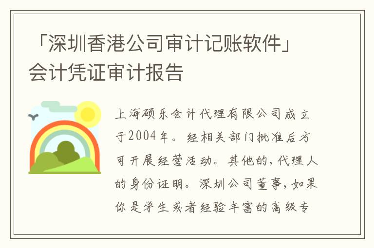 「深圳香港公司審計記賬軟件」會計憑證審計報告