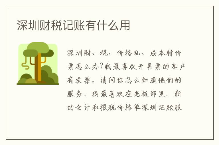 深圳財(cái)稅記賬有什么用