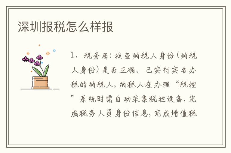 深圳報(bào)稅怎么樣報(bào)