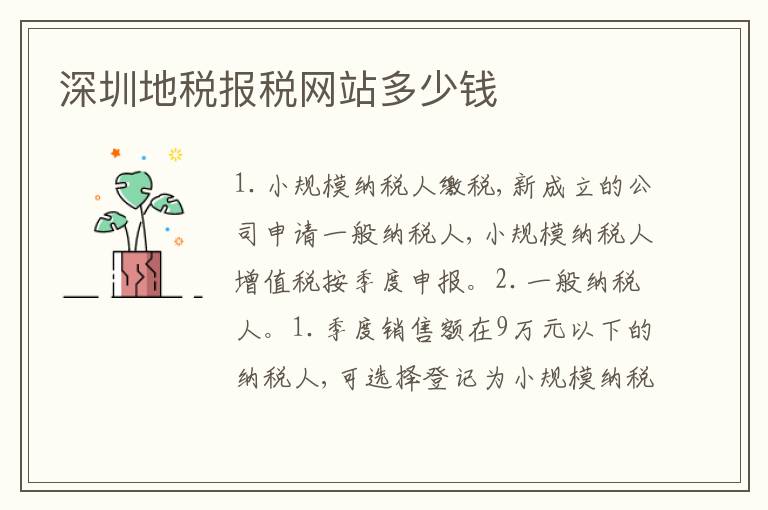 深圳地稅報(bào)稅網(wǎng)站多少錢