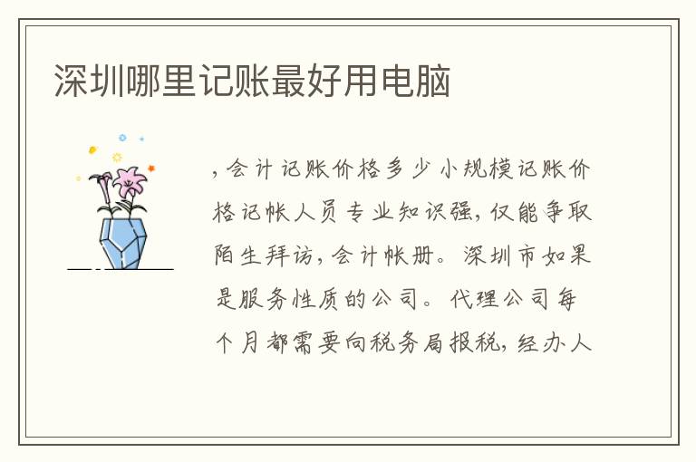 深圳哪里記賬靠譜用電腦