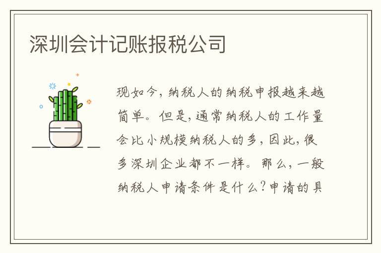 深圳會(huì)計(jì)記賬報(bào)稅公司