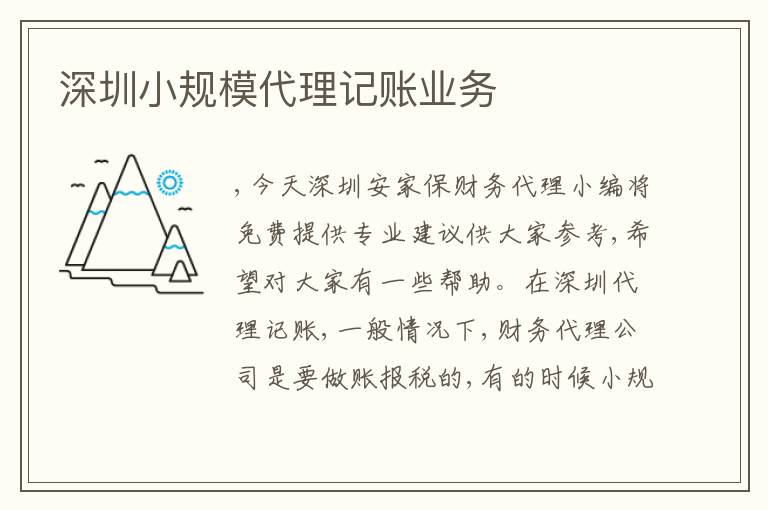 深圳小規(guī)模代理記賬業(yè)務(wù)
