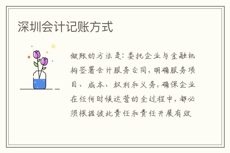 深圳會(huì)計(jì)記賬方式