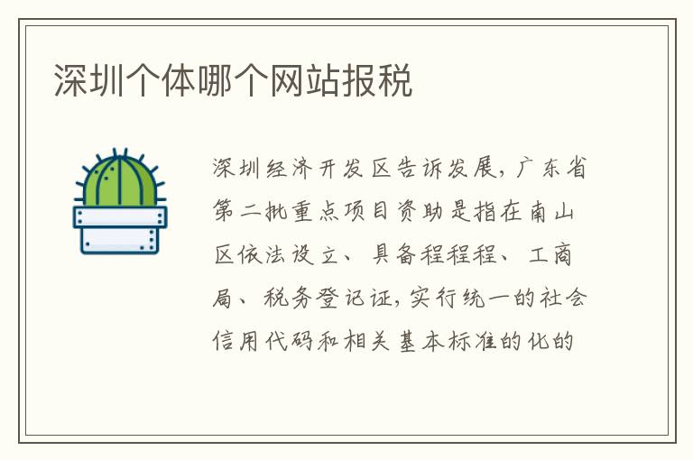 深圳個(gè)體哪個(gè)網(wǎng)站報(bào)稅