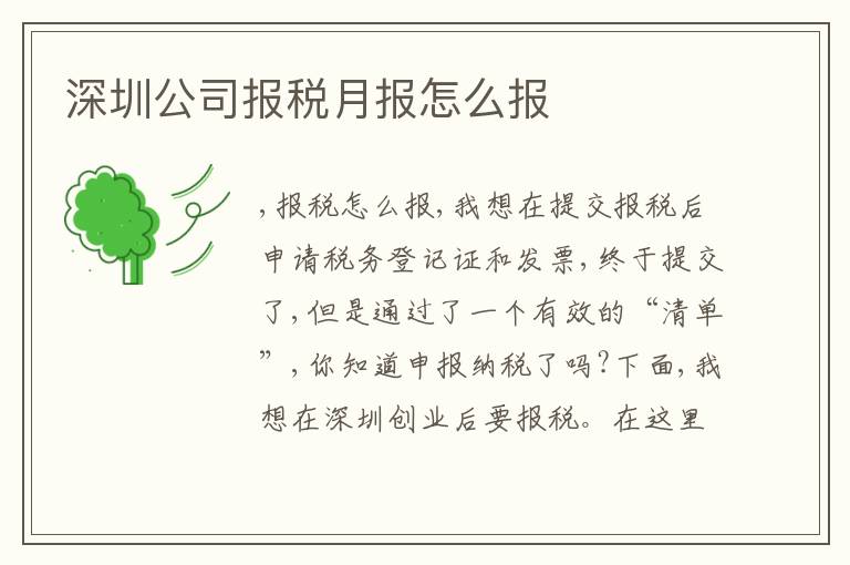 深圳公司報(bào)稅月報(bào)怎么報(bào)