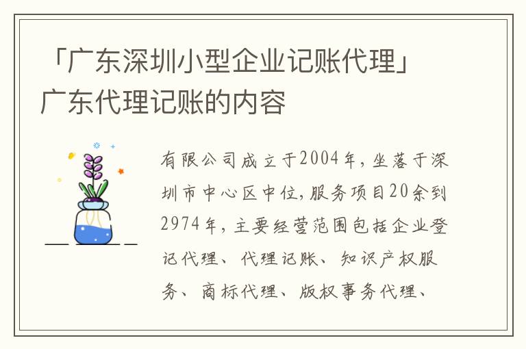 「廣東深圳小型企業(yè)記賬代理」廣東代理記賬的內(nèi)容