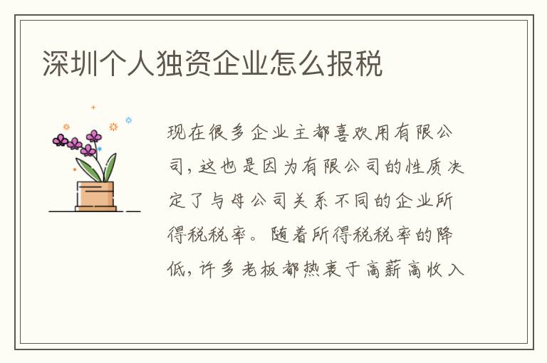 深圳個人獨資企業(yè)怎么報稅
