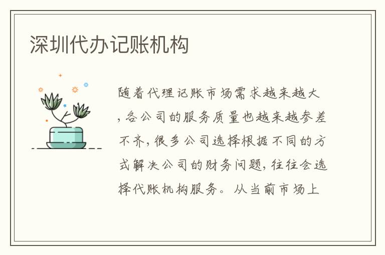 深圳代辦記賬機(jī)構(gòu)