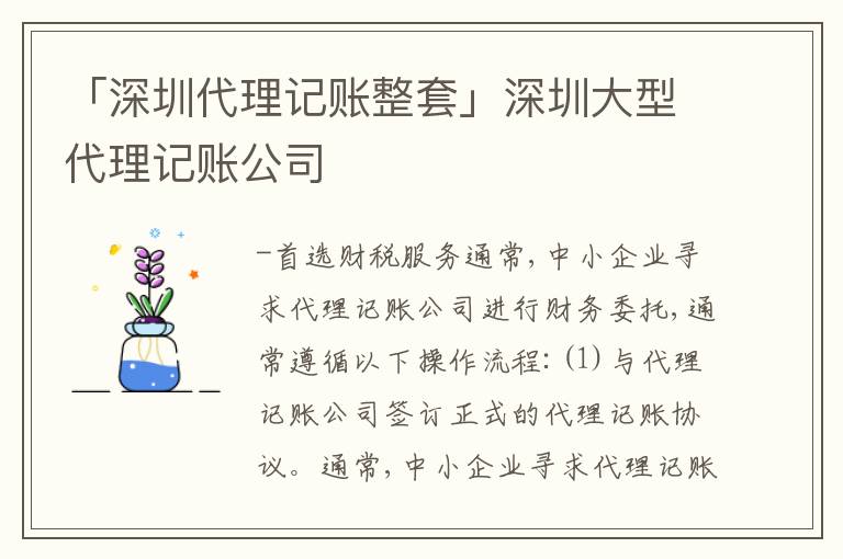 「深圳代理記賬整套」深圳大型代理記賬公司