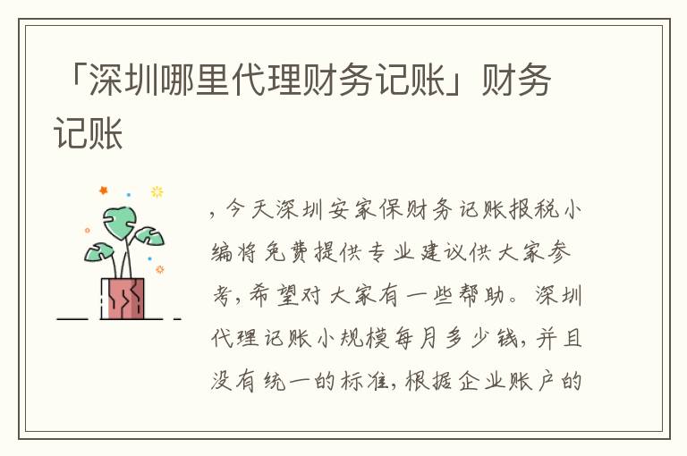 「深圳哪里代理財(cái)務(wù)記賬」財(cái)務(wù)記賬
