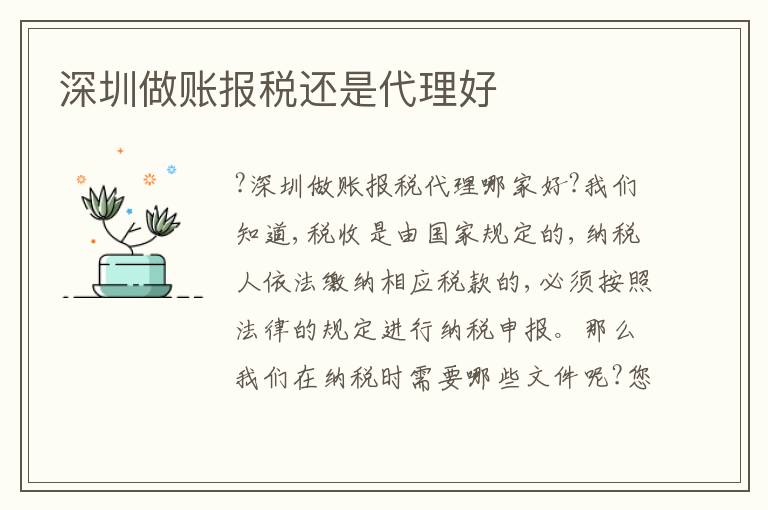 深圳做賬報(bào)稅還是代理好