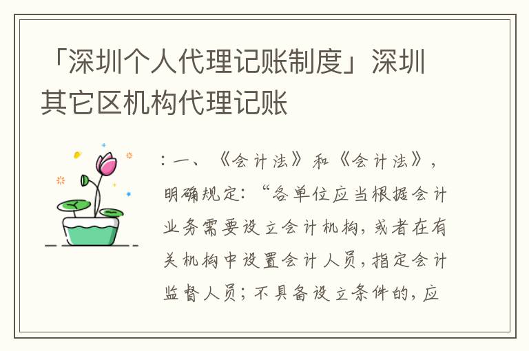 「深圳個人代理記賬制度」深圳其它區(qū)機構代理記賬