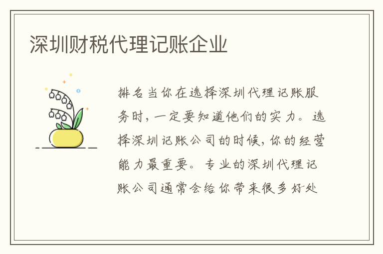 深圳財(cái)稅代理記賬企業(yè)