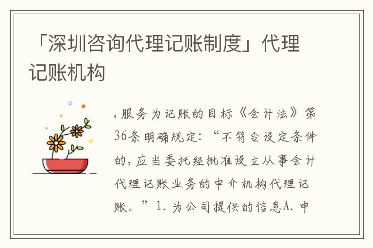 「深圳咨詢代理記賬制度」代理記賬機(jī)構(gòu)