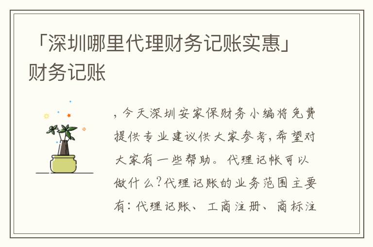 「深圳哪里代理財務(wù)記賬實惠」財務(wù)記賬